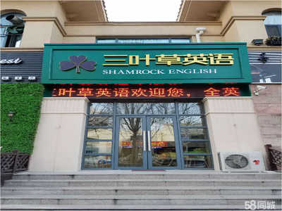 淄博三葉草教育咨詢 專業服務助力成長之路